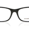 Gọng kính cận Michael Kors MK8001 RAVENNA 3001 725125944236