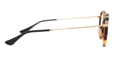 Gọng kính mắt Ray-Ban RX2447V Round Fleck 5494 8053672356991 cho Nữ viễn thị