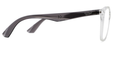 Gọng kính mắt Ray-Ban RX7066 Active Lifestyle 5768 8053672833478 cho Nam viễn thị