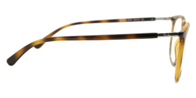 Gọng kính mắt Ray-Ban RX7190 2012 8056597434584 cho Nữ viễn thị