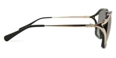 Kính mát Coach HC8280U 50028G Nam và Nữ (Unisex)