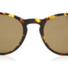 Kính mát Polo Ralph Lauren PH4110 Polarized 513483 8053672557879 Nam