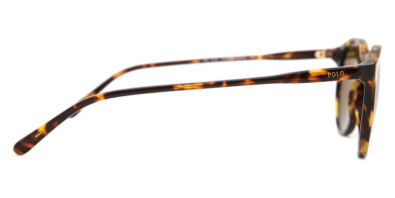 Kính mát Polo Ralph Lauren PH4110 Polarized 513483 Nam
