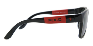 Kính mát Polo Ralph Lauren PH4162 500187 Nam