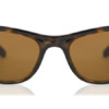 Kính mát Ray-Ban RB2027 Predator 2 650833 8056597364508 Nam