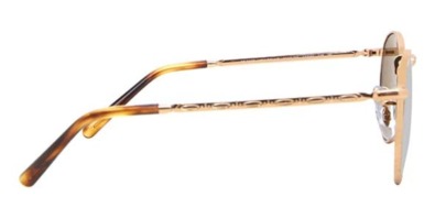 Kính mát Ray-Ban RB3637 New Round 920233 Nam và Nữ (Unisex)