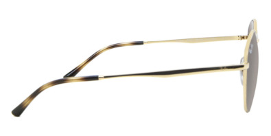 Kính mát Ray-Ban RB3681 001/13 Nam và Nữ (Unisex)