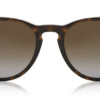 Kính mát Ray-Ban RB4171 Erika Polarized 710/T5 8053672495744 Nam