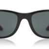 Kính mát Ray-Ban RB4195 Wayfarer Liteforce 601/71 8053672067071 Nam và Nữ (Unisex)