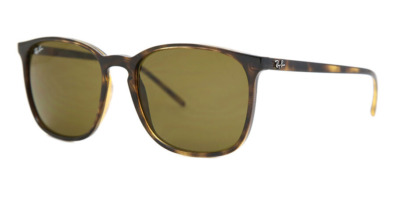 Kính râm Ray-Ban RB4387 710/73 8053672169355 Nam