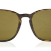 Kính mát Ray-Ban RB4387 710/73 8053672169355 Nam