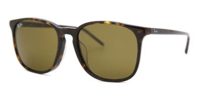 Kính râm Ray-Ban RB4387F Asian Fit 902/73 8053672990775 Nam