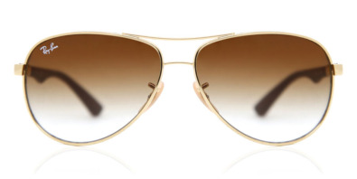 Kính mát Ray-Ban Tech RB8313 Carbon Fibre 001/51 8053672006575 Nam