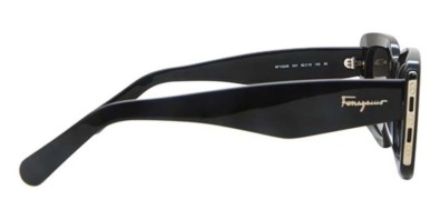 Kính râm Salvatore Ferragamo SF 1024S 001 886895512213 Nam và Nữ (Unisex)