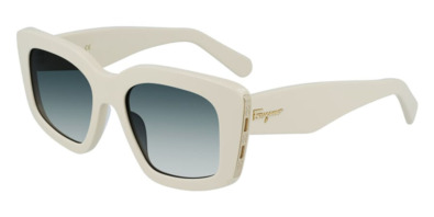 Kính râm Salvatore Ferragamo SF 1024S 103 886895512220 Nam và Nữ (Unisex)