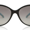 Kính mát Tiffany & Co. Tiffany & Co. TF4089B 80553C 8053672173901 Nữ
